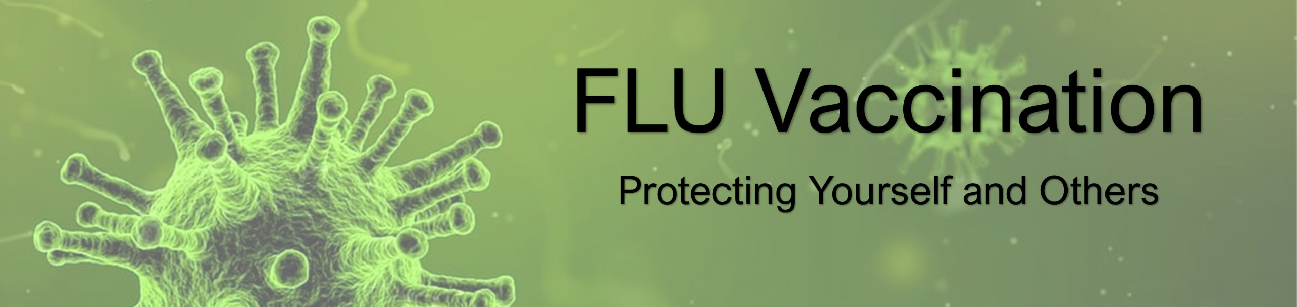 Banner Image shows a microscopic flu bacteria on a green backdrop. The words read, FLU, Protect Yourself and Others